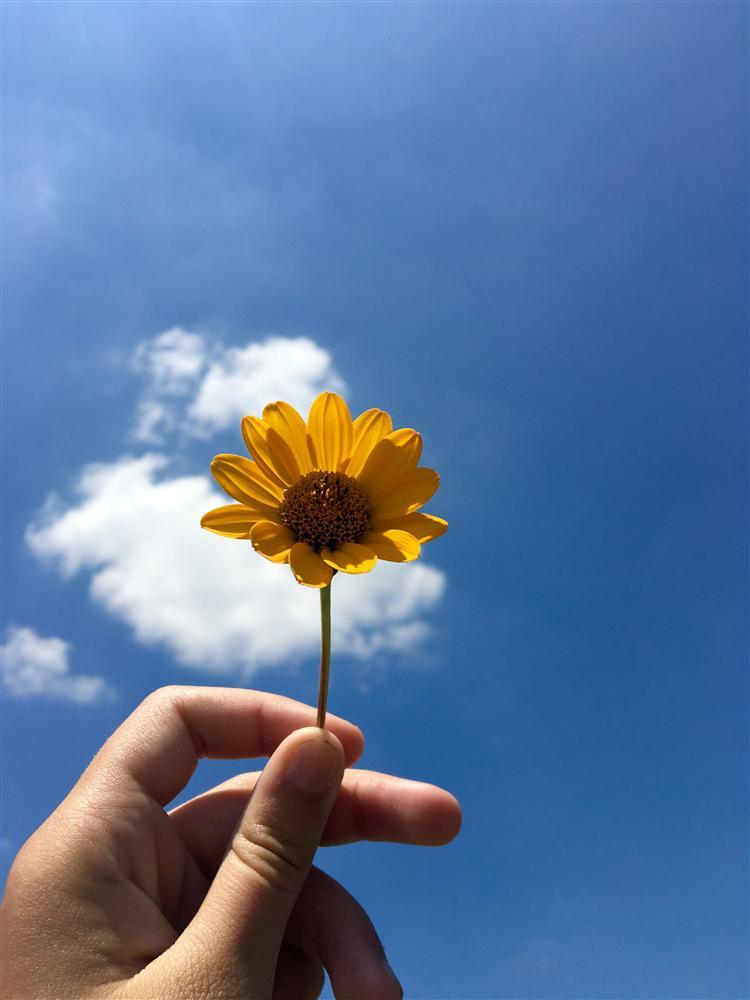 Tử vi thứ Ba ngày 19/5/2020 của 12 con giáp: Mão bị đồng nghiêp chơi xấu, Thìn nhiều cơ hội kiếm tiền-3