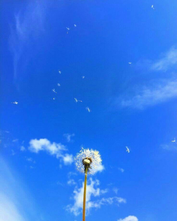 Tử vi thứ Ba ngày 19/5/2020 của 12 con giáp: Mão bị đồng nghiêp chơi xấu, Thìn nhiều cơ hội kiếm tiền-4