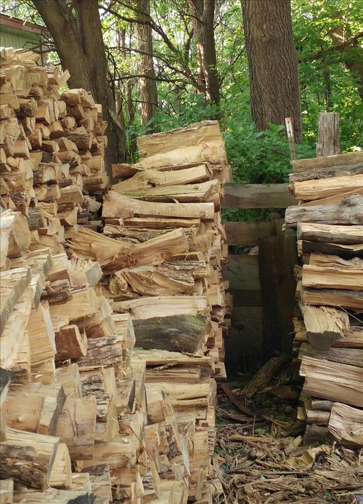 95% người chơi không thể tìm ra chú mèo đang trốn trong ảnh-1