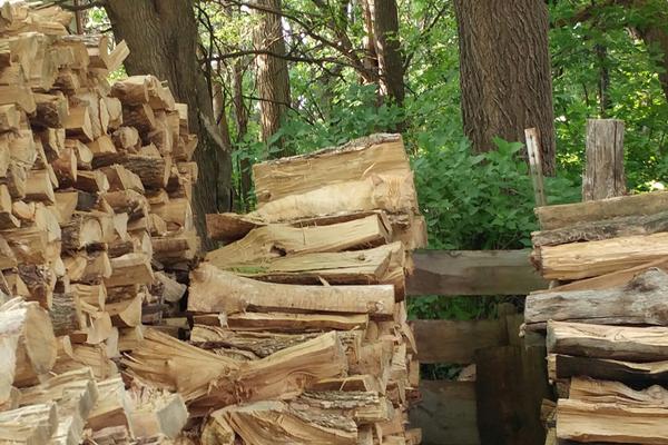 Những cung hoàng đạo có tài chém gió, nghèo nhưng luôn tự khoe mình giàu rồi hối không kịp-4