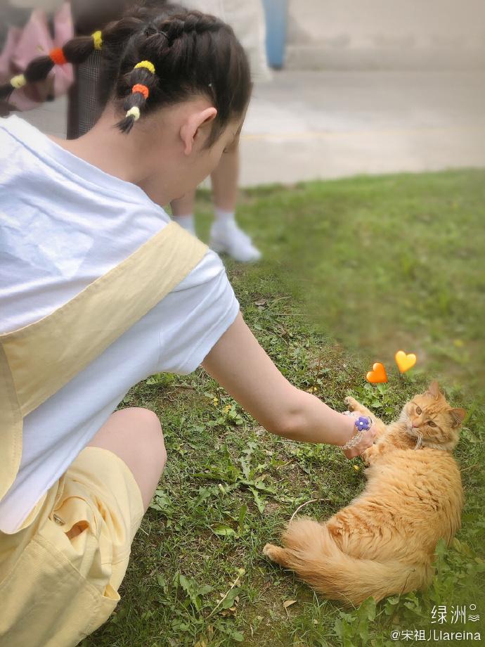 Dàn mỹ nhân Hoa ngữ trải qua ngày tỏ tình 520 như thế nào?-10