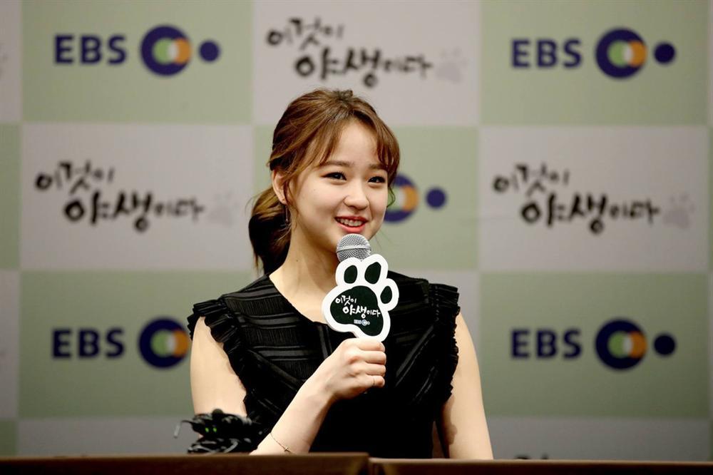 Dàn mỹ nữ Hàn bị chỉ trích vì tiệc tùng giữa mùa dịch-13