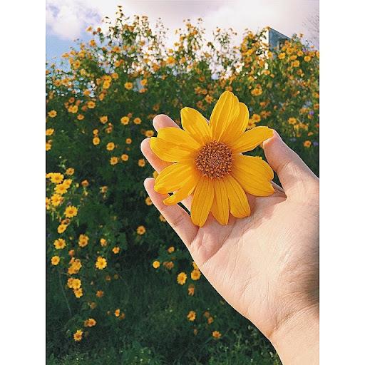 Tử vi thứ Sáu ngày 22/5/2020 của 12 con giáp: Tuất công việc ổn định, Mùi cần trân trọng người ở bên-1