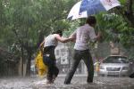 Dự báo thời tiết ngày 25/5: Hà Nội nắng nóng, đêm mới mưa giông-2