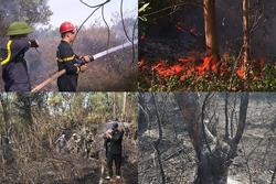 Cháy rừng tràm hơn 3 tiếng sát sân bay Đà Nẵng, 5.000 m2 bị thiêu rụi