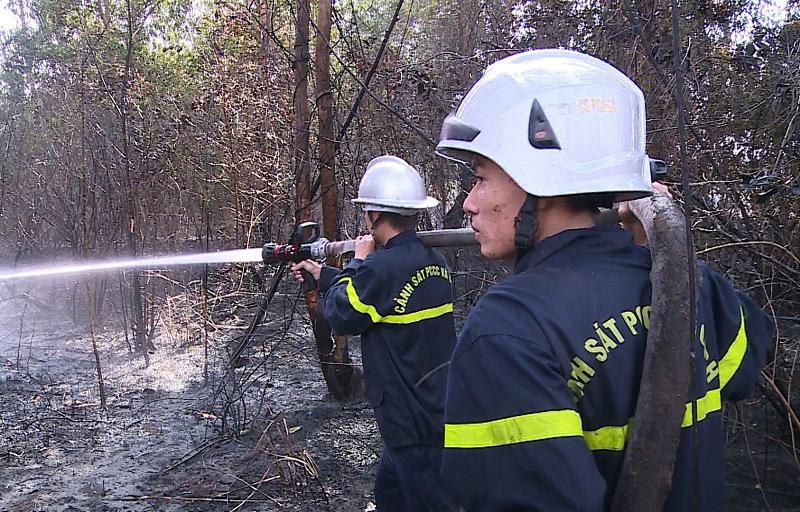 Cháy rừng tràm hơn 3 tiếng sát sân bay Đà Nẵng, 5.000 m2 bị thiêu rụi-4