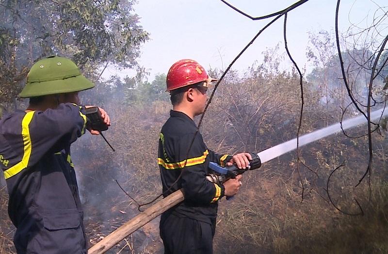 Cháy rừng tràm hơn 3 tiếng sát sân bay Đà Nẵng, 5.000 m2 bị thiêu rụi-5