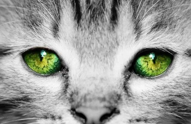 Chọn ánh mắt đáng sợ nhất, câu trả lời sẽ tiết lộ bạn là người tuyệt tình như thế nào, sẵn sàng buông bỏ hay vẫn có khả năng xiêu lòng-1