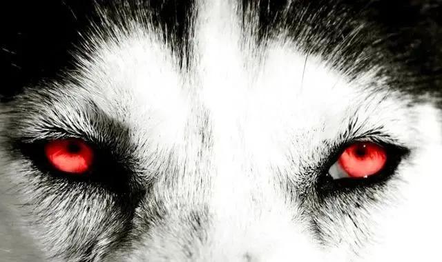 Chọn ánh mắt đáng sợ nhất, câu trả lời sẽ tiết lộ bạn là người tuyệt tình như thế nào, sẵn sàng buông bỏ hay vẫn có khả năng xiêu lòng-2