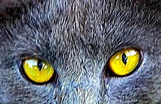 Chọn ánh mắt đáng sợ nhất, câu trả lời sẽ tiết lộ bạn là người tuyệt tình như thế nào, sẵn sàng buông bỏ hay vẫn có khả năng xiêu lòng-3