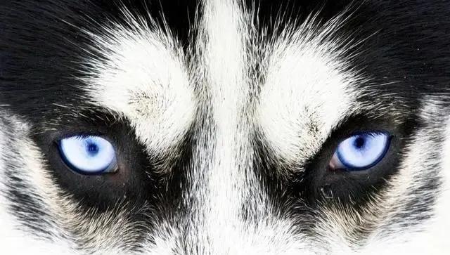 Chọn ánh mắt đáng sợ nhất, câu trả lời sẽ tiết lộ bạn là người tuyệt tình như thế nào, sẵn sàng buông bỏ hay vẫn có khả năng xiêu lòng-4