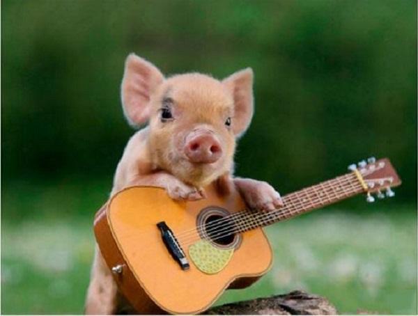 Những con giáp luôn thích trì hoãn mọi việc đến tận hạn chót-1