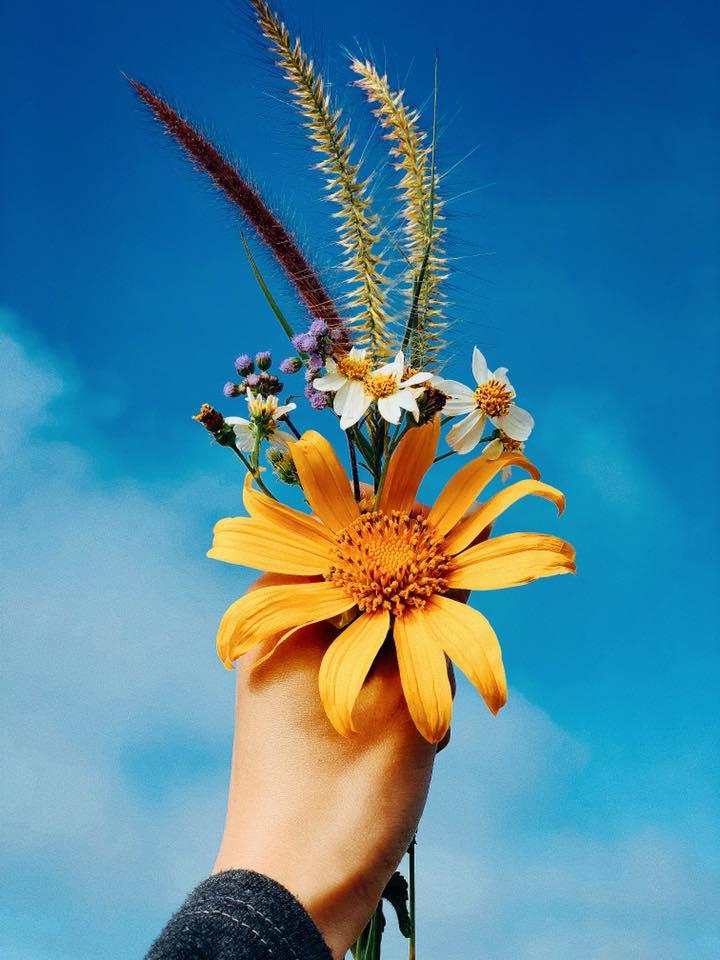 Tử vi tuần mới 12 con giáp từ ngày 25/5 đến 31/5/2020: Dần có thêm thu nhập, Tỵ nên bớt tự kiêu-4