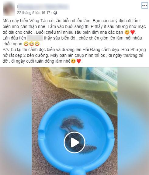 Chạm con vật ghê rợn này trên bãi biển, Tiên Nguyễn quyết định: Không bao giờ xuống nước nữa!-4