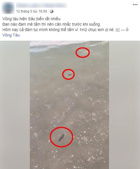 Chạm con vật ghê rợn này trên bãi biển, Tiên Nguyễn quyết định: Không bao giờ xuống nước nữa!-5