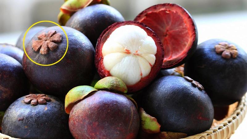 Mua măng cụt, muốn biết nó có nhiều múi và đầy đặn hay không, nhìn vào chỗ này là biết-2