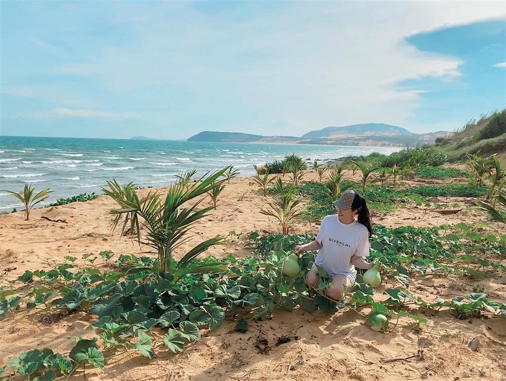 Bảo Thy khoe dự án đất biển ở Phan Thiết, dân mạng một lần nữa trầm trồ tài sản nhà đại gia-1