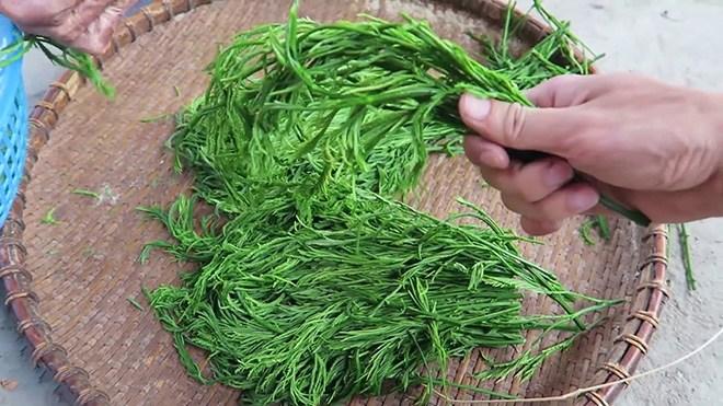 Loại rau thối um nhưng là đặc sản Tây Bắc và dễ gây nghiện, ở Hà Nội bán 90.000đ/mớ-1