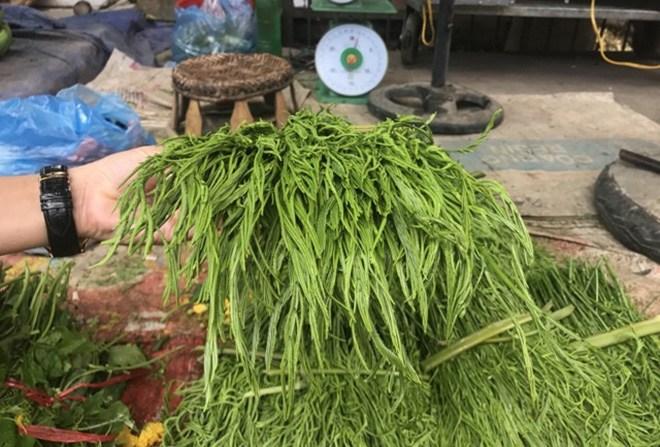 Loại rau thối um nhưng là đặc sản Tây Bắc và dễ gây nghiện, ở Hà Nội bán 90.000đ/mớ-3