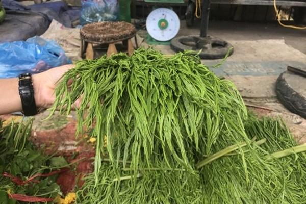 Đừng ăn rau luộc kiểu này, cẩn thận không mất hết chất-5