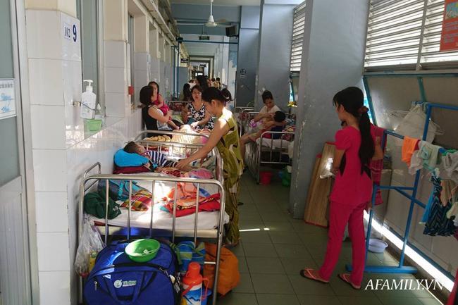 Phát hiện 1 trường hợp nhiễm virus Zika, Bộ Y tế gửi công văn khẩn-1