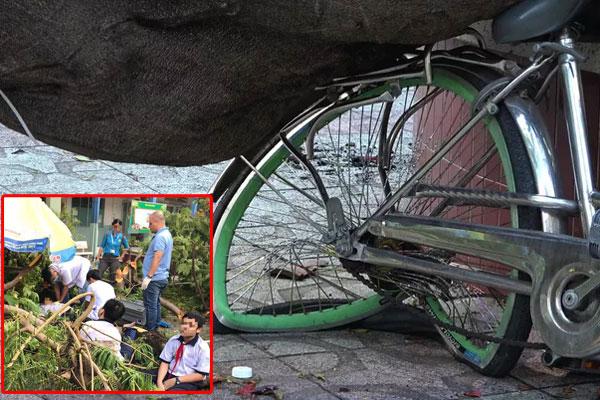 Dòng người nấc nghẹn, tiễn đưa học sinh lớp 6 bị cây đổ tử vong về nơi an nghỉ cuối cùng-19