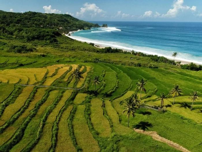 Lạc bước vào đảo thiên đường có thật tại khu nghỉ dưỡng số 1 thế giới-6