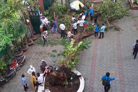 Thi thể học sinh lớp 6 tử nạn do phượng đổ ở TP.HCM được người thân đưa về nhà