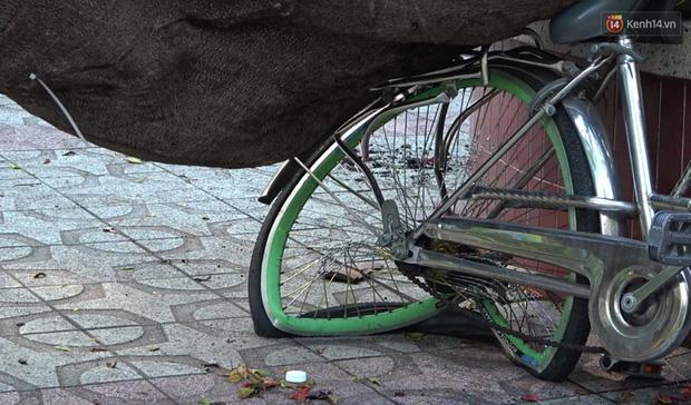 Vụ cây bật gốc đè chết học sinh lớp 6 ở Sài Gòn: Hiệu trưởng nói gì về thông tin cựu học sinh từng cảnh báo cây phượng có nguy cơ đổ từ trước?-3