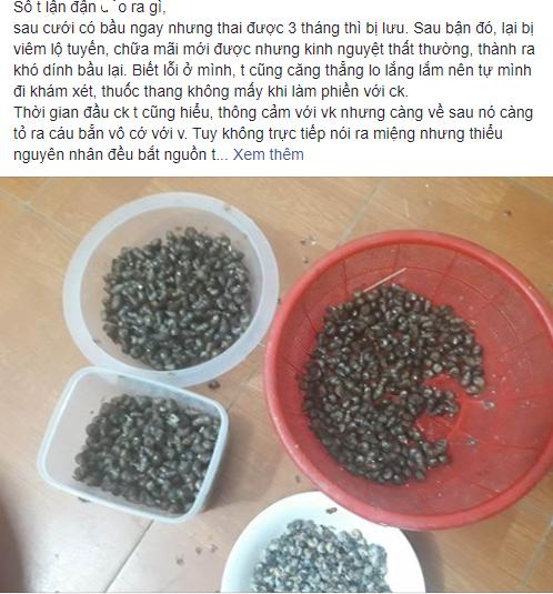 Một rổ vỏ ốc cùng đòn đáp trả sốc óc của cô vợ khi chồng ngoại tình còn ngông nghênh đập đơn ly hôn lên bàn bắt kí-1