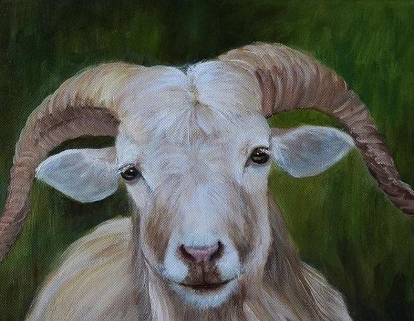 Những ngày cuối cùng của tháng 5 và lời khuyên dành cho 4 con giáp để tránh xui xẻo-4