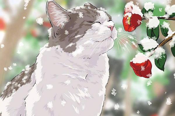 Yêu được một trong top 3 con giáp này bạn sẽ luôn được che chở, yêu thương-4