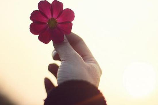 Tử vi thứ 5 ngày 28/5/2020 của 12 con giáp: Dần nên bớt tự kiêu, Thìn cẩn thận tiểu nhân hãm hại