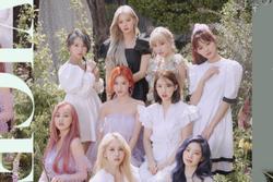 Twice chưa comeback, IZONE và Black Pink đã bị dọa 'ra chuồng gà'