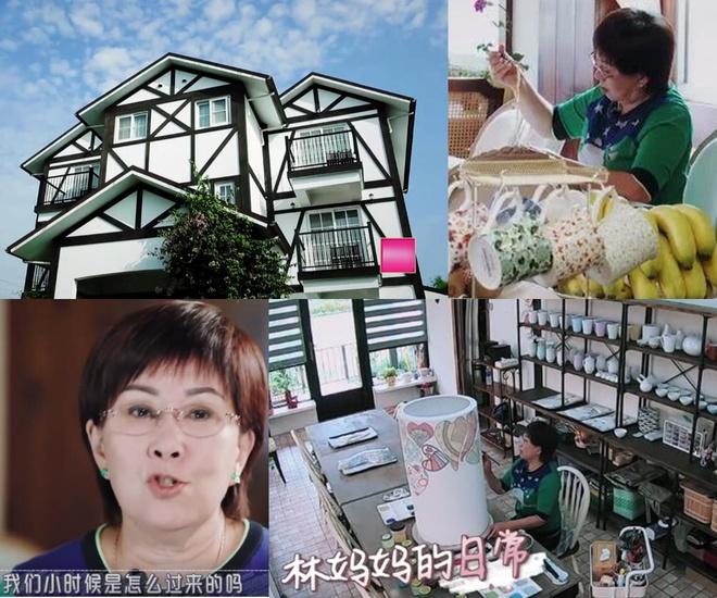 Lâm Chí Dĩnh hận mẹ vì bỏ nhà ra đi khi anh mới 11 tuổi-2