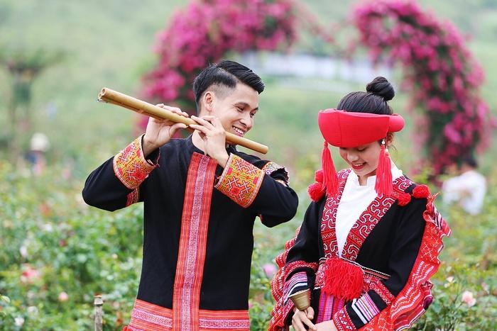 Lên Sapa ghé thăm thung lũng hoa hồng lớn nhất Việt Nam-5