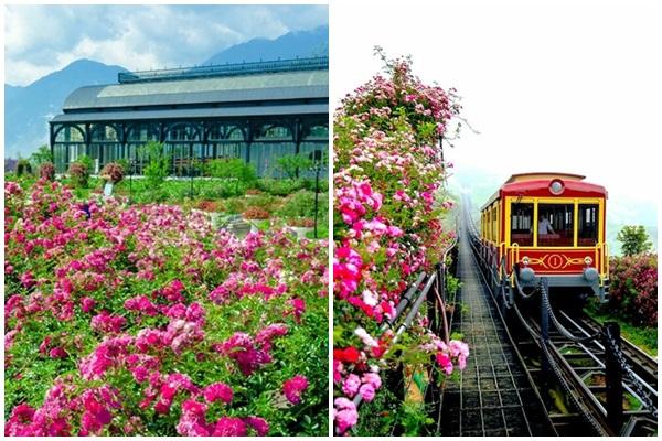 Mùa lúa vàng đẹp đến nao lòng ở Ninh Bình-7