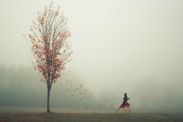 Đàn ông sở hữu tướng mắt đa tình, ai làm vợ cả đời chìm trong đau khổ-2