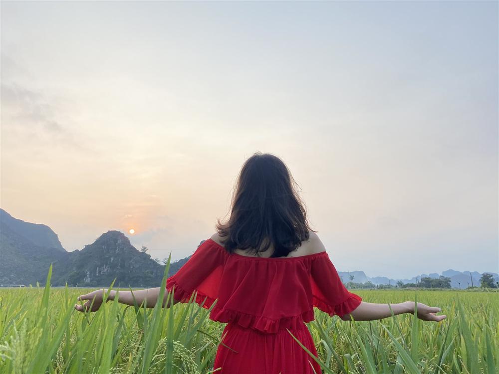 Mùa lúa vàng đẹp đến nao lòng ở Ninh Bình-2