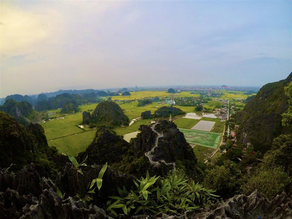 Mùa lúa vàng đẹp đến nao lòng ở Ninh Bình-3