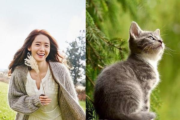 Bước vào quầy bar, chỗ ngồi mà bạn chọn sẽ chỉ ra bạn lí trí, có tố chất lãnh đạo hay quá chân thành đến nỗi bị người khác lợi dụng-2