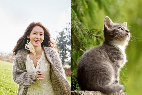 Nếu muốn cả đời sống hạnh phúc, an yên, nhất định phải chọn 3 con giáp này làm vợ-1