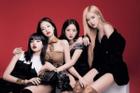 Lộ thông tin ngày BlackPink comeback, fan mỉa mai: 'Có teaser mới tin'