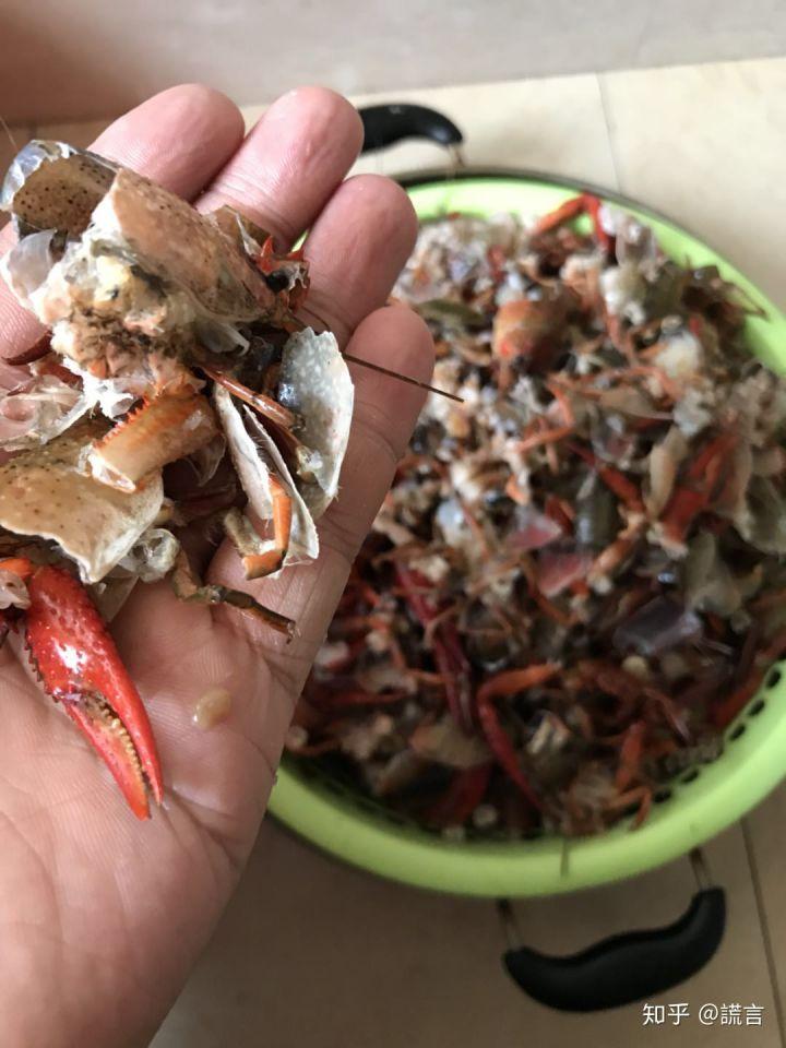 Học mót trên mạng cách làm sạch tôm bằng máy giặt, cặp vợ chồng lười mếu máo nhận cái kết cực đắng-3