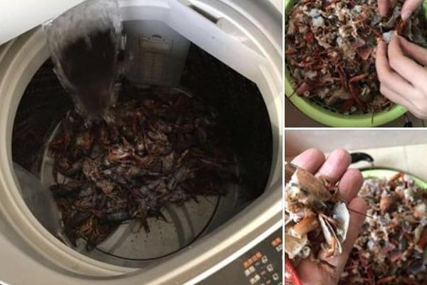 Thịt lươn rất bổ nhưng nếu chế biến theo cách này chẳng khác nào mang họa vào người-4