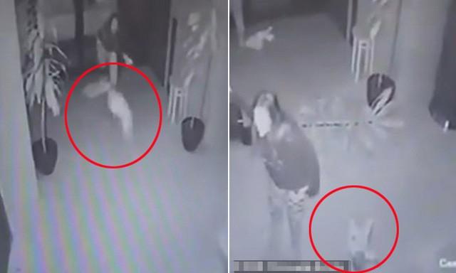 Clip: Cãi nhau với bạn trai, mẹ quăng con 2 tháng tuổi xuống sàn nhà-1