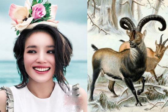 Tháng 6 hoan hỉ,  3 con giáp này chuẩn bị túi đựng tiền thôi vì vận may sắp ập đến với bạn rồi đó