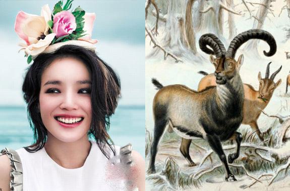 Tháng 6 hoan hỉ, 3 con giáp này chuẩn bị túi đựng tiền thôi vì vận may sắp ập đến với bạn rồi đó-3