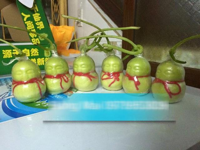 Loài cây có quả hệt cô gái khỏa thân, chỉ rung lên khi nam giới chạm: Thực hư thế nào?-7