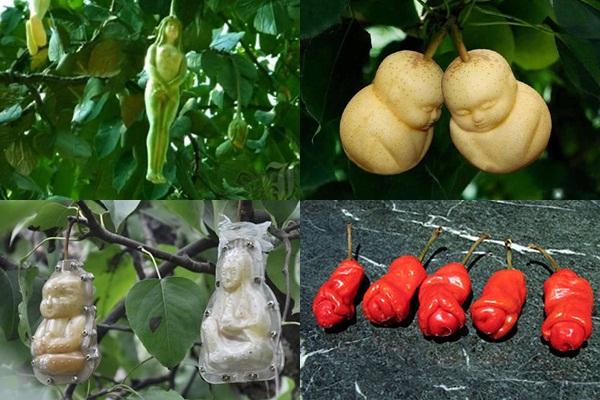 Rã đông thịt, thêm vài thìa này vào, thịt nhanh mềm tươi ngon như mới trong vài phút-2